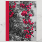 Pyracantha-bes Lunch Recept Scheidingsblad (Achterkant)