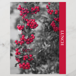 Pyracantha-bes Lunch Recept Scheidingsblad