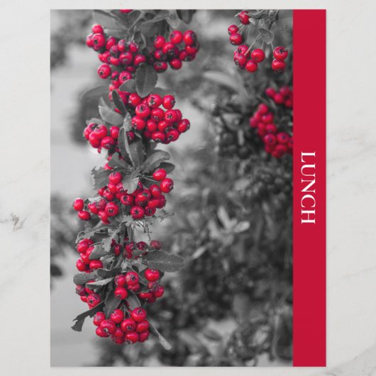 Pyracantha-bes Lunch Recept Scheidingsblad (Voorkant)