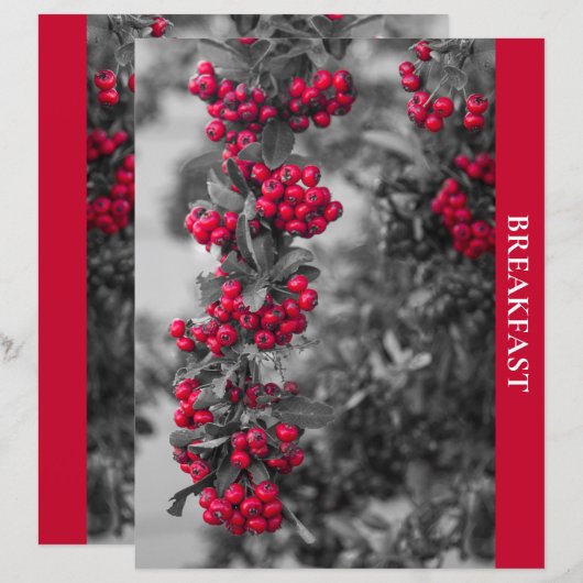 Pyracantha-bes-recept-scheiding (Voorkant / Achterkant)