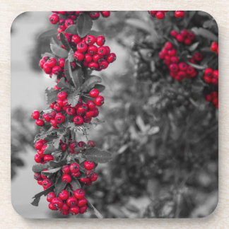 Pyracantha Bes Rode en Grijze Botanische Onderzett Bier Onderzetter