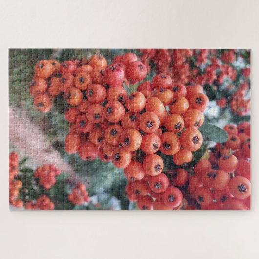 Pyracantha coccinea - Fire Horns Puzzle Legpuzzel (Horizontaal)