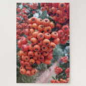 Pyracantha coccinea - Fire Horns Puzzle Legpuzzel (Verticaal)