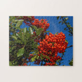 Pyracantha Coccinea / Scarlet Firethorn Legpuzzel (Horizontaal)