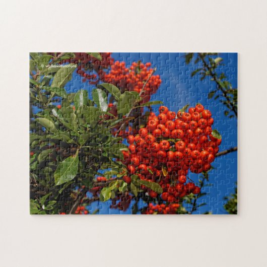 Pyracantha Coccinea / Scarlet Firethorn Legpuzzel (Horizontaal)