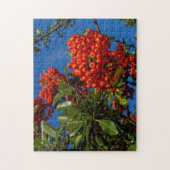 Pyracantha Coccinea / Scarlet Firethorn Legpuzzel (Verticaal)