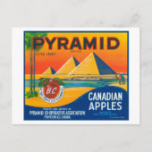 Pyramid Apple Label - Penticton B.C. Canada Briefkaart (Voorkant)