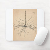 Pyramida Neuron Drawing Santiago Ramon y Cajal Muismat (Met muis)