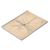 Pyramida Neuron Drawing Santiago Ramon y Cajal Notitieboek (Linkerzijde)