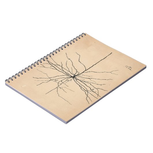 Pyramida Neuron Drawing Santiago Ramon y Cajal Notitieboek (Linkerzijde)