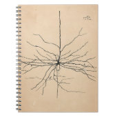 Pyramida Neuron Drawing Santiago Ramon y Cajal Notitieboek (Voorkant)