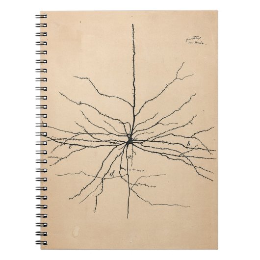 Pyramida Neuron Drawing Santiago Ramon y Cajal Notitieboek (Voorkant)