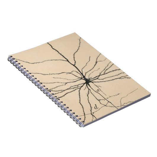 Pyramida Neuron Tekening door Santiago Ramón y Caj Notitieboek (Rechterzijde)