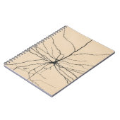 Pyramida Neuron Tekening door Santiago Ramón y Caj Notitieboek (Linkerzijde)