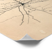 Pyramida Neuron Tekening door Santiago Ramón y Caj Poster (Hoek)