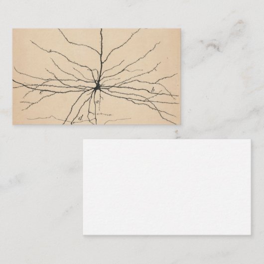 Pyramida Neuron Tekening door Santiago Ramón y Caj Visitekaartje (Voorkant / Achterkant)