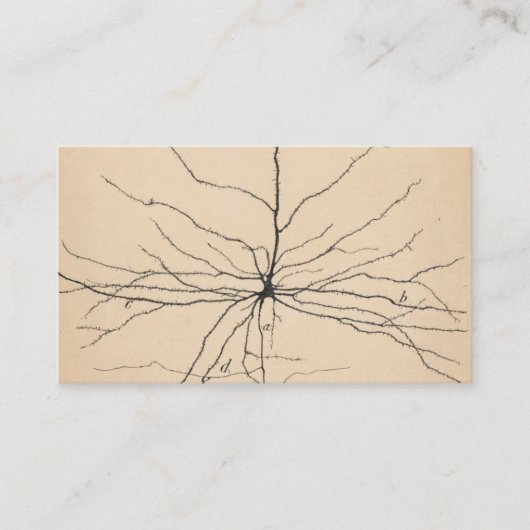 Pyramida Neuron Tekening door Santiago Ramón y Caj Visitekaartje (Voorkant)