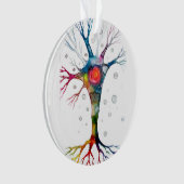 Pyramidaal neuron in de neocortex ornament (voorkant)
