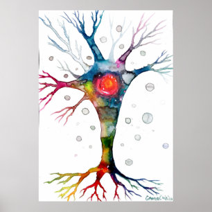 Pyramidaal neuron in de neocortex poster