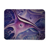 Pyramidaal neuron magneet (Horizontaal)