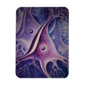 Pyramidaal neuron magneet (Verticaal)