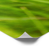 Pyramidaal Orchid Poster (Hoek)