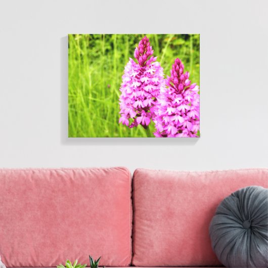 Pyramidal Orchid Canvas Print (Insitu (Woonkamer))