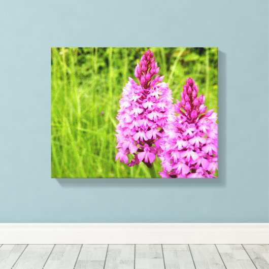 Pyramidal Orchid Canvas Print (Insitu (Houten vloer))