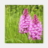 Pyramidal Orchid Magnet (Voorkant)
