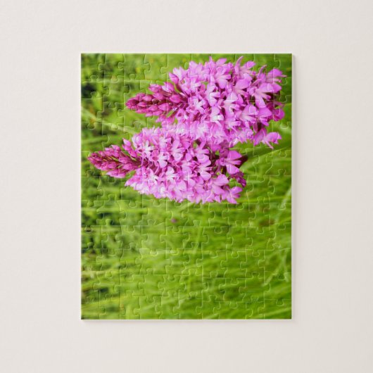 Pyramidale orchidee fotopuzzel legpuzzel (Verticaal)