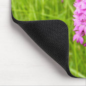 Pyramidale orchidee muis muismat (Hoek)