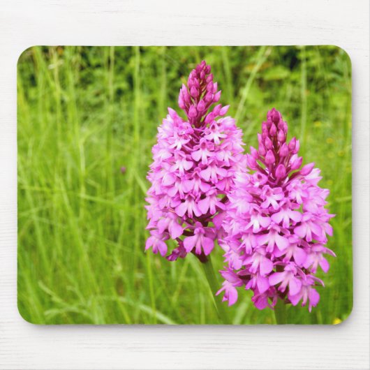 Pyramidale orchidee muis muismat (Voorkant)