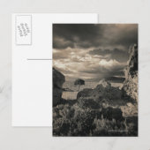 Pyramide Lake, Nevada 2 Briefkaart (Voorkant / Achterkant)