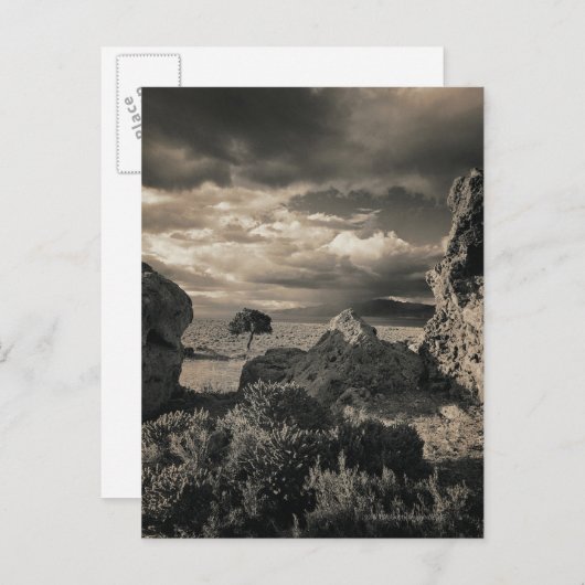 Pyramide Lake, Nevada 2 Briefkaart (Voorkant / Achterkant)