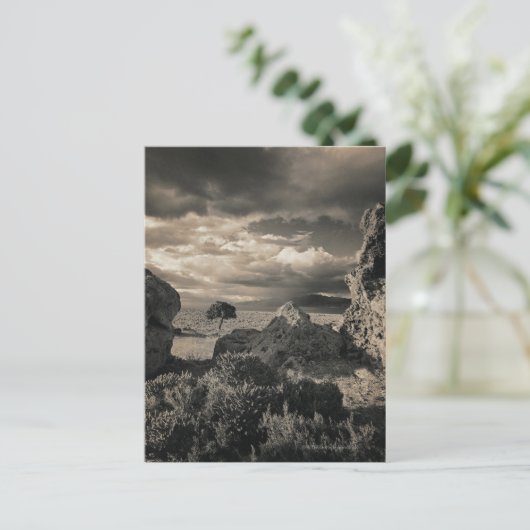 Pyramide Lake, Nevada 2 Briefkaart (Staand voorkant)