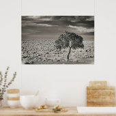 Pyramide Lake, Nevada 2 Poster (Keuken)