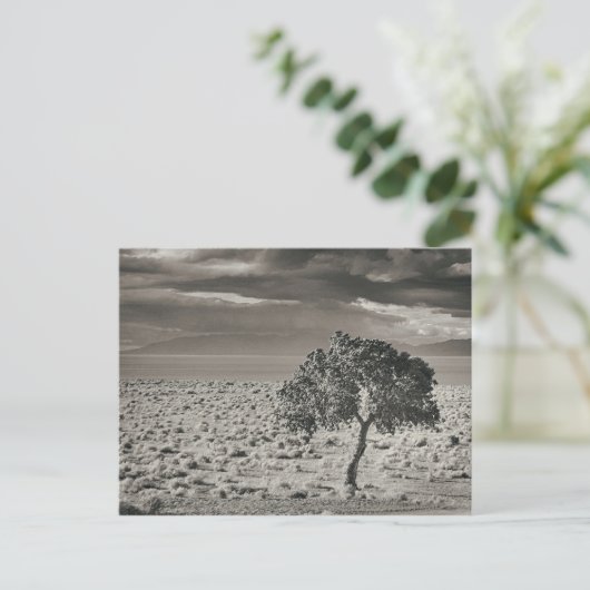 Pyramide Lake, Nevada Briefkaart (Staand voorkant)