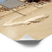 Pyramide van Khafre en een reeks chariots Perfect Poster (Hoek)