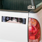 Pyramides Planets Space Bumpersticker (Op Truck)