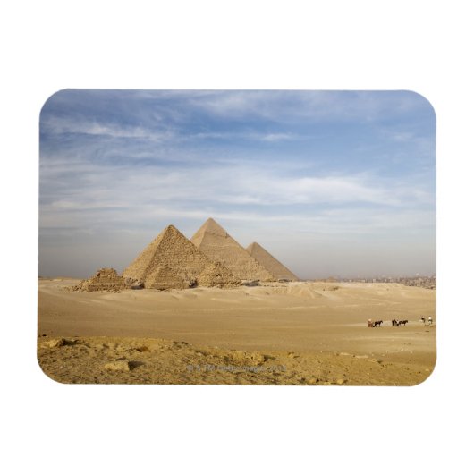 Pyramids Cairo, Egypte Magneet (Horizontaal)
