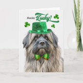 Pyrenean Herder Lucky St Patrick's Day Feestdagen Kaart (Voorkant)
