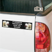 PYRENEAN MOUNTAIN DOG AAN BOORD BUMPERSTICKER (Op Truck)