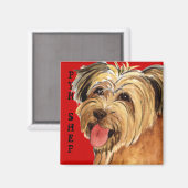 Pyrenean Shepherd Color Block Magneet (Voorkant / Achterkant)