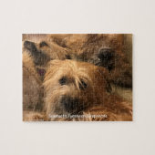 Pyrenean Shepherd Jigzaag Puzzle Legpuzzel (Horizontaal)