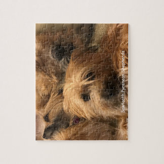 Pyrenean Shepherd Jigzaag Puzzle Legpuzzel