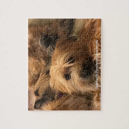 Pyrenean Shepherd Jigzaag Puzzle Legpuzzel (Verticaal)