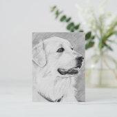 PyreneanMountainDog.jpg Briefkaart (Staand voorkant)
