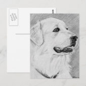 PyreneanMountainDog.jpg Briefkaart (Voorkant / Achterkant)
