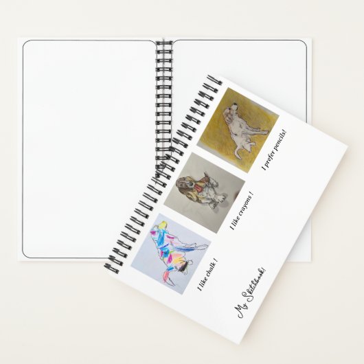 Pyreneeën, Bassett Hound Rainbow Dog Sketchbook Notitieboek (Binnen)