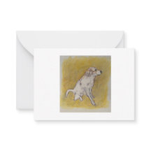 Pyreneeën Bon Voyage